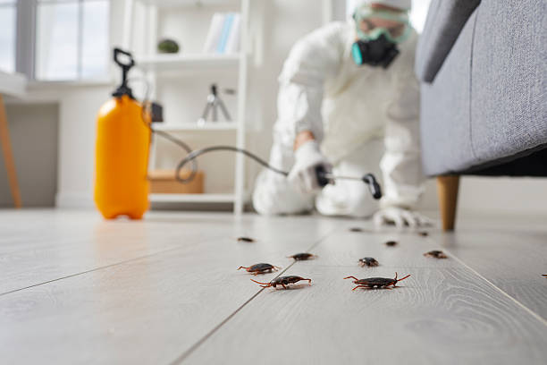 Commercial Kitchen Cockroach Control in Wareham Center